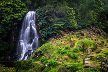 Ribeira dos Caldeiroes parkında İpek Etkisi