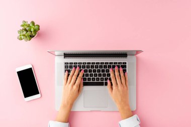 Dizüstü bilgisayarda çalışan kadın elleri. Cep telefonu ve çiçeklerle ilgili iş geçmişi. Üst görünüm