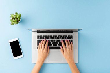 Kadın elleri mavi masadaki dizüstü bilgisayarda aksesuarlarla çalışıyor. İş geçmişi. Düz yatıyordu