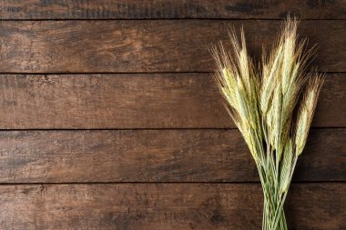 Kopyalama alanı olan ahşap masanın üzerinde çavdar kulakları