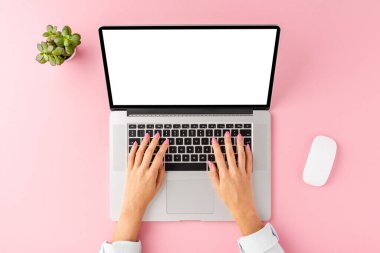 Pembe masada boş ekranlı dizüstü bilgisayar kullanan kadın eller. Aksesuarlarla iş geçmişi. Düz yatıyordu