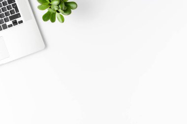 Bilgisayarlı iş geçmişi ve beyaz arka planda izole edilmiş küçük sulu şeyler. Ofis masaüstü