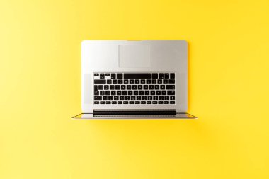 Laptop ve kopyalanmış ofis masaüstü bilgisayarı. İş geçmişi