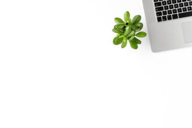 Bilgisayarı, küçük yeşil santrali ve kopyalama alanı olan bir ofis masası. İş geçmişi