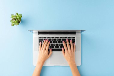 Mavi arka planda dizüstü bilgisayar kullanan kadın eller. Ofis masaüstü. Üst görünüm