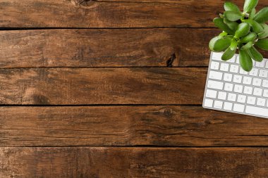 Zarif bilgisayar klavyesi ve ahşap masada küçük yeşil çiçek. İş geçmişi