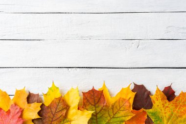 Beyaz ahşap arka planda renkli akçaağaç yaprakları ve kopyasal alan. Sonbahar konsepti 