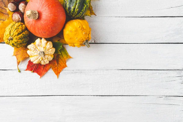 Sonbahar yaprakları ve balkabakları kopyalanmış beyaz ahşap masa üzerinde. Düz yatıyordu