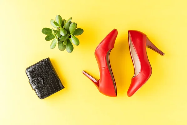 Женщины Моды Фон Красными Каблуками Бумажник Цветок Вид Сверху — стоковое фото
