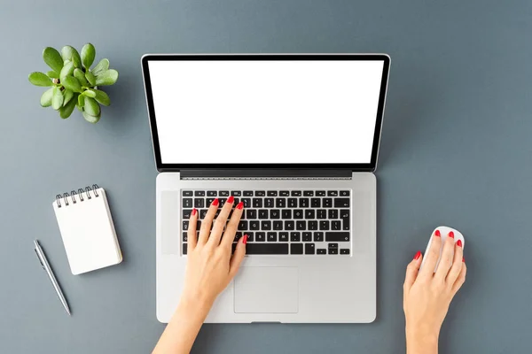 Manos Femeninas Trabajando Portátil Con Pantalla Vacía Escritorio Oficina Con — Foto de Stock