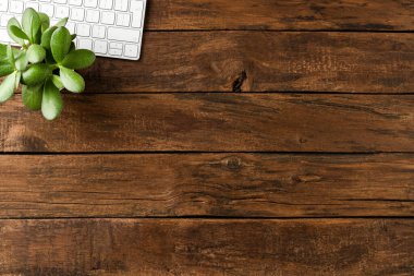 Zarif bilgisayar klavyesi ve ahşap masada küçük yeşil çiçek. İş geçmişi
