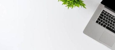 Laptop ve yeşil çiçek beyaz arkaplanda. Ofis masaüstü konsepti. Üst Manzara. Pankart