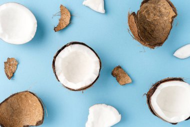 Mavi arka planda taze hindistan cevizi resmi. Düz yatıyordu. Kapat.