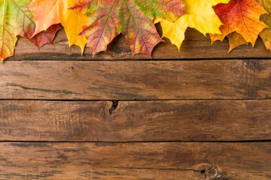 Eski ahşap masadaki renkli sonbahar yapraklarından yapılmış çerçeve. Sonbahar konsepti. Düz yatıyordu