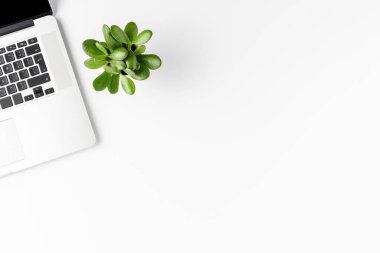 Laptop ve yeşil çiçekli iş geçmişi kavramı. Kopyalama alanı olan ofis masaüstü