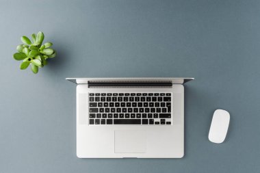 Bilgisayarın ve aksesuarların tepe noktası gri arka planda ve kopyalanmış. Ofis masaüstü. Düz yatıyordu