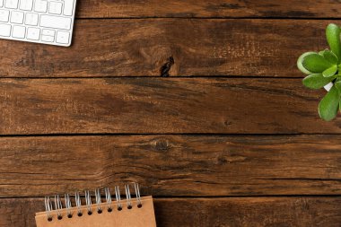 Zarif bilgisayar klavyesi, not defteri ve küçük yeşil çiçek. İş geçmişi