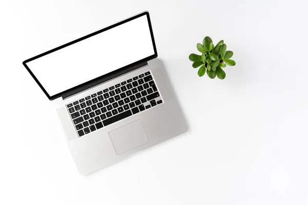 Laptop Blank Display White Table Small Flower Office Desktop Top — Stock Photo, Image