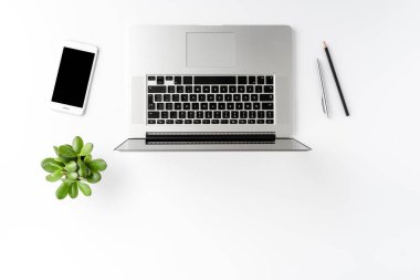 Bilgisayarı, akıllı telefonu, kalemleri ve yeşil çiçekleri olan bir ofis masası. İş geçmişi. Düz yatıyordu