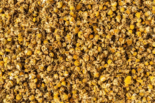 Background Dried Camomile Flowers Top View — Stock Photo, Image