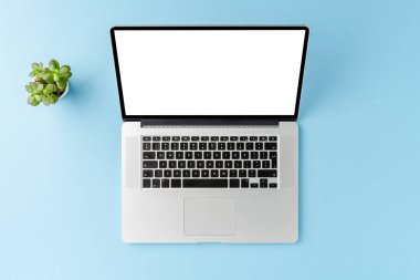 Boş ekran ve mavi masaüstünde yeşil çiçek olan bir dizüstü bilgisayar görüntüsü. İş geçmişi. Düz yatıyordu