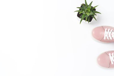 Kadın aksesuarları. Üst görünüm