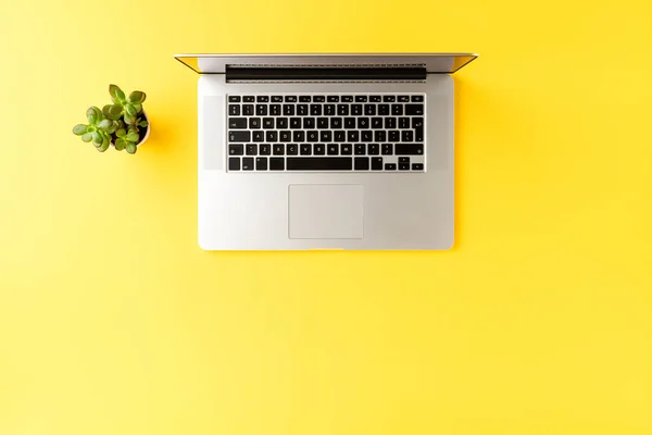 Fogalom Üzleti Háttér Laptop Zöld Virág Irodai Asztali Számítógép Másoló — Stock Fotó