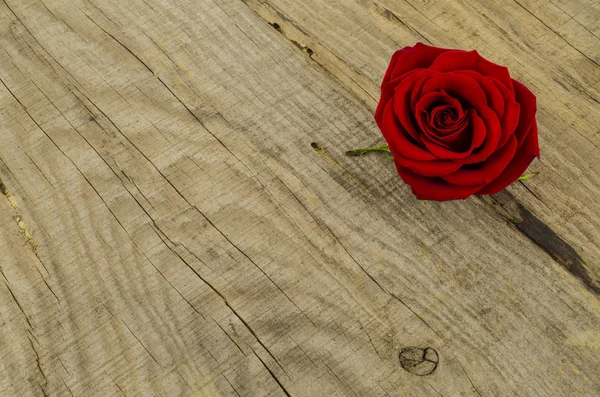 Fleur rose sur une vieille table en bois — Photo