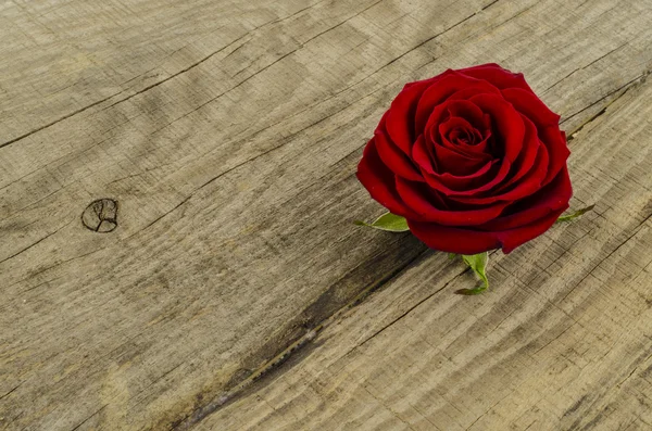 Fleur rose sur une vieille table en bois — Photo