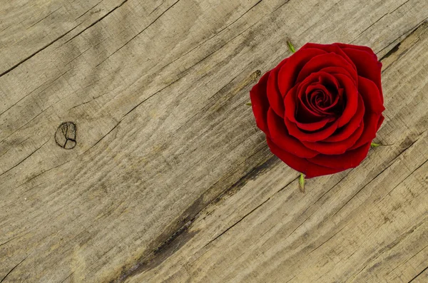 Fleur rose sur une vieille table en bois — Photo
