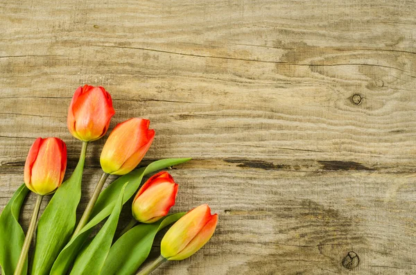 Lege houten achtergrond met kleurrijke bloemen — Stockfoto