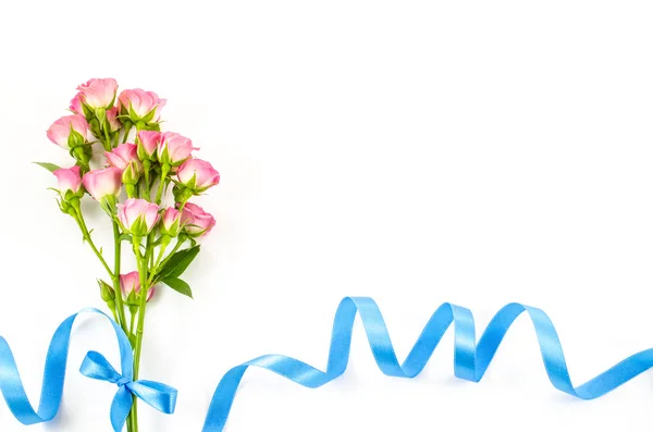 Empty white background with colorful flowers and blue ribbon — Stock Photo, Image