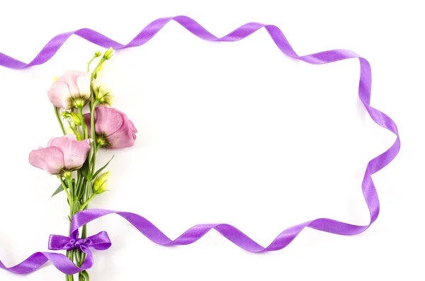 Flower with purple ribbon on white background — Stock Photo, Image