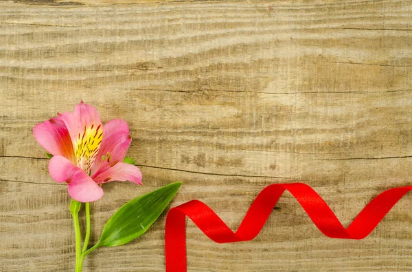 Άδειο ξύλινο υπόβαθρο με πολύχρωμο λουλούδι και κόκκινη κορδέλα — Φωτογραφία Αρχείου