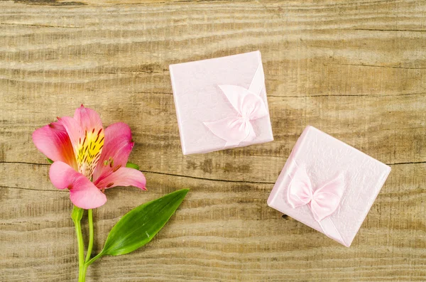 Gift box and flower on wooden background — Stock Photo, Image