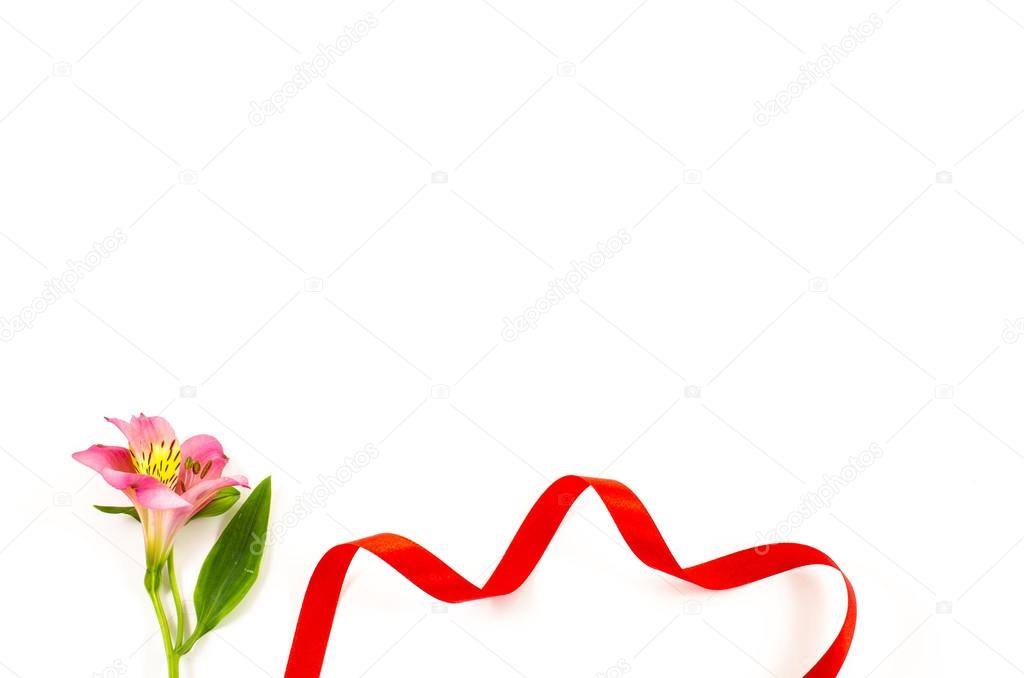 Empty white background with colorful flower and red ribbon