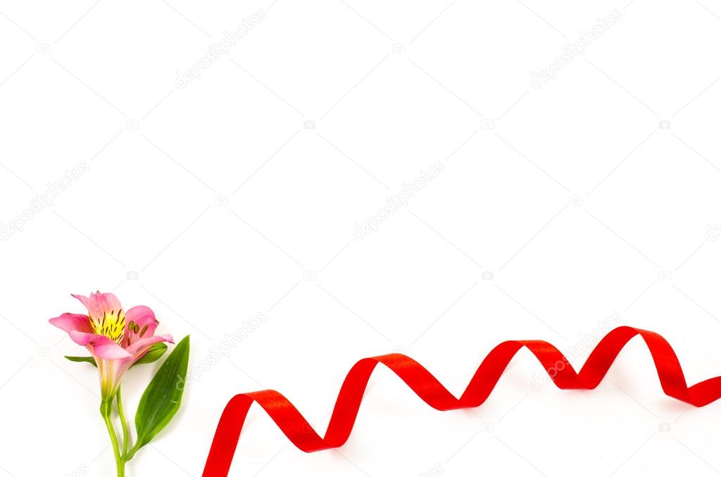 Empty white background with colorful flower and red ribbon