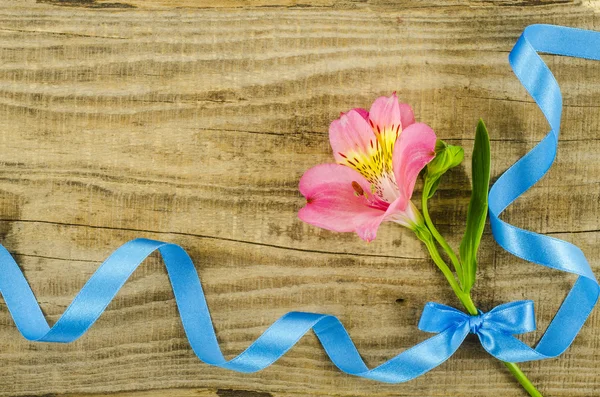 Flower with blue ribbon on wooden table — Stock Photo, Image