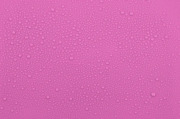 Rosa gotas de água fundo — Fotografia de Stock