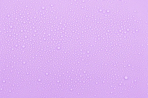 紫水滴背景 — ストック写真