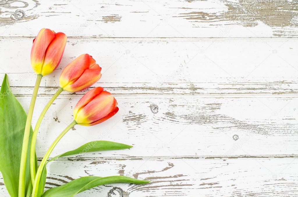 Empty wooden background with colorful flowers