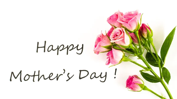 Dzień szczęśliwy matki z kwiatem — Zdjęcie stockowe