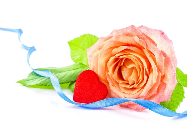 Rose flower with heart and blue ribbon on white background — Stock Photo, Image