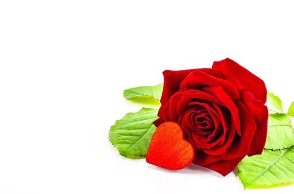 Rose blomma med hjärta på vit bakgrund — Stockfoto