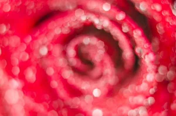 Background of blurred rose flower — Stock Photo, Image
