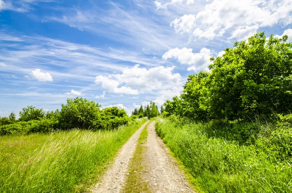 Country road on meadow Royalty Free Stock Images
