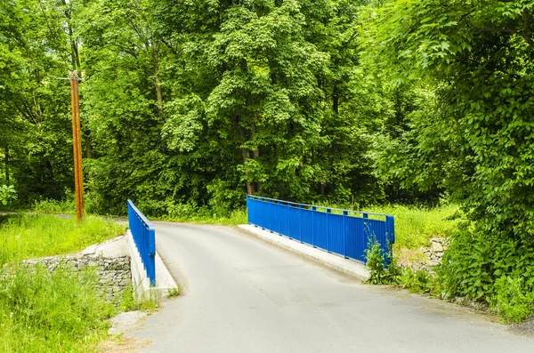 Köprü bir yolda — Stok fotoğraf