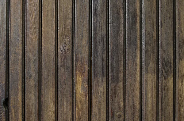 老木质部 — 图库照片