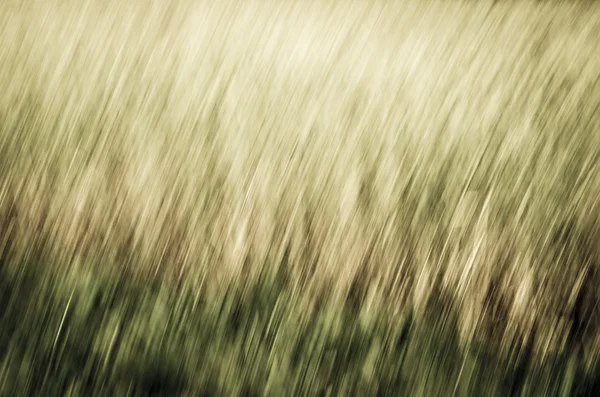 Soyut arkaplan — Stok fotoğraf