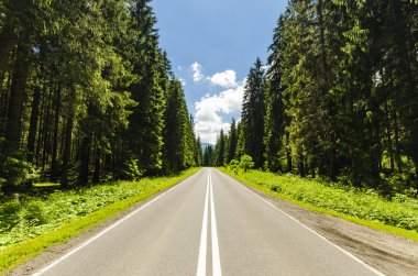 Boş yol